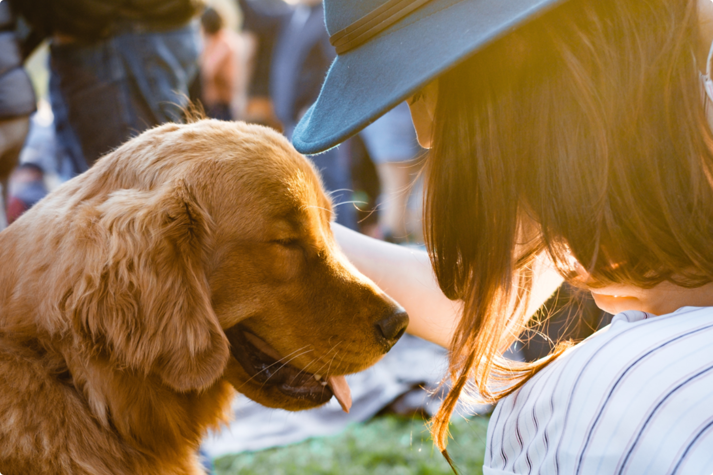 Caring for pets can be expensive. 
ScriptSave® WellRx can help.